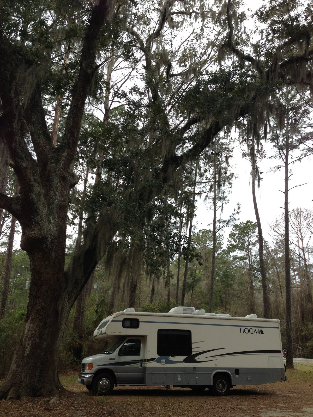 The Tioga parked beneath tall trees and Spanish moss.